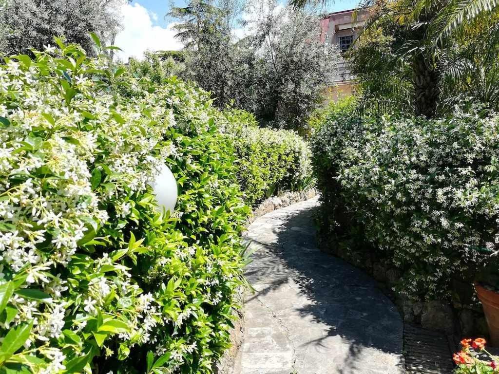 Apartament Casa Dinky Attico Con Terrazza Vista Mare Formia Zewnętrze zdjęcie
